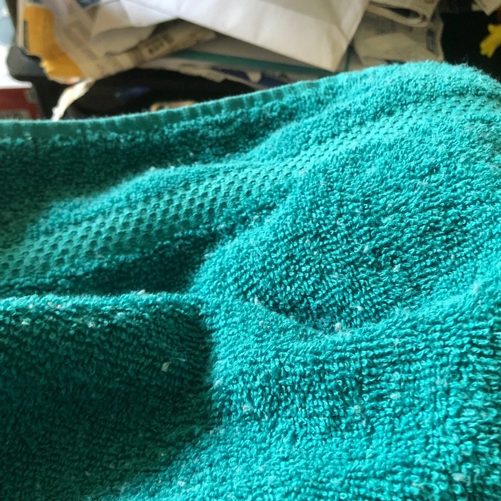 Hand towels - Teal Plush Soft Hooded Towel
